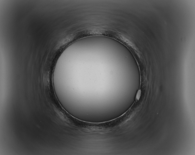 X0000086340681200704131744