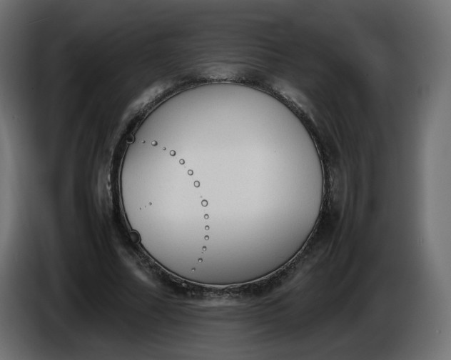 X0000086340682200704131744