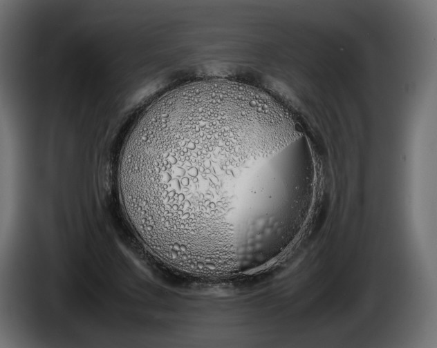 X0000086340683200704131744