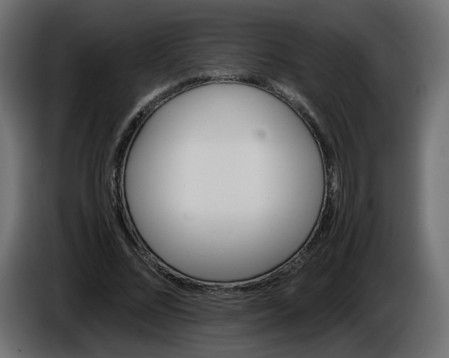 X0000086340684200704131744