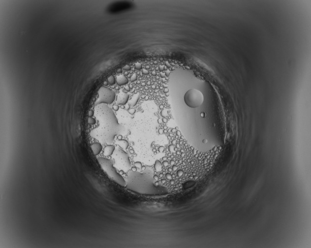 X0000086340687200704131744