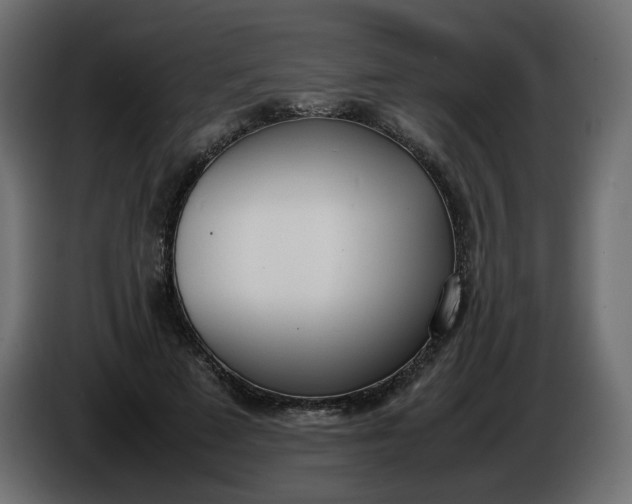 X0000086340689200704131744