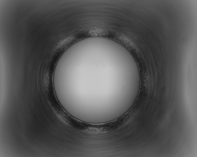 X0000086340690200704131744