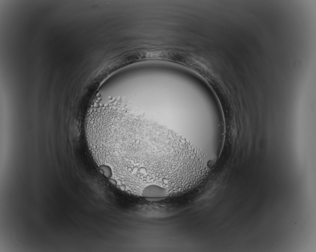 X0000086340691200704131744