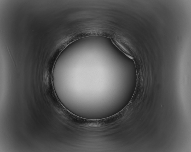 X0000086340692200704131744