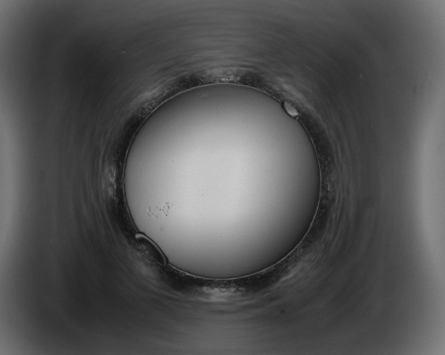 X0000086340693200704131744