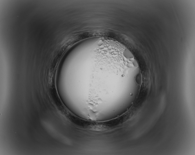 X0000086340695200704131744