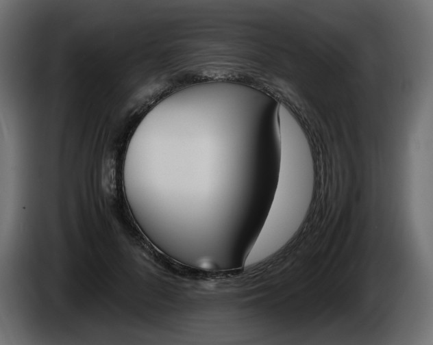 X0000086340696200704131744