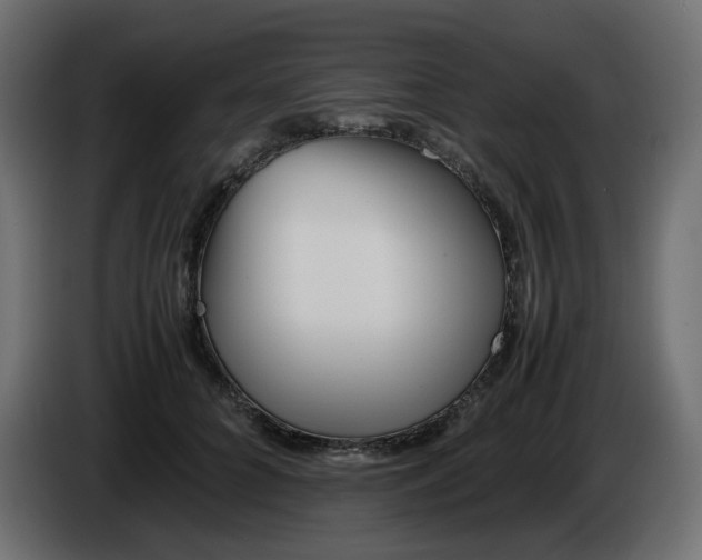 X0000086340704200704131744