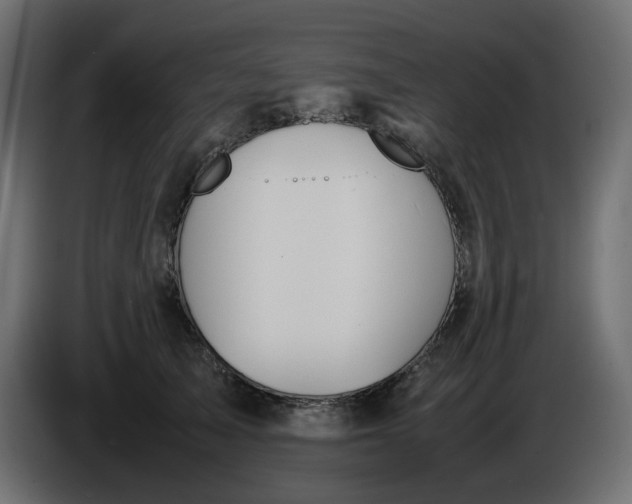 X0000086340705200704131744
