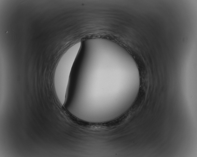 X0000086340708200704131744