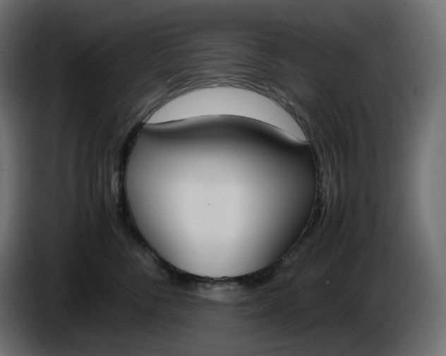 X0000086340716200704131743