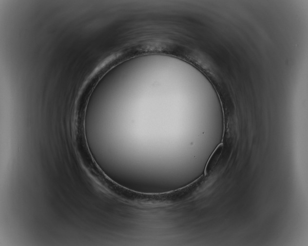 X0000086340722200704131743