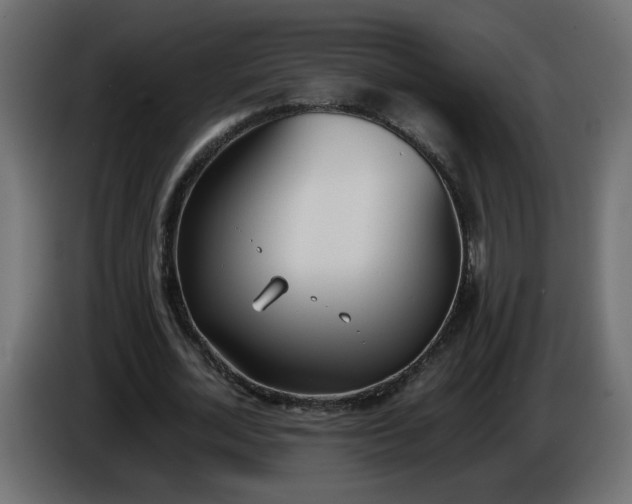 X0000086340724200704131743