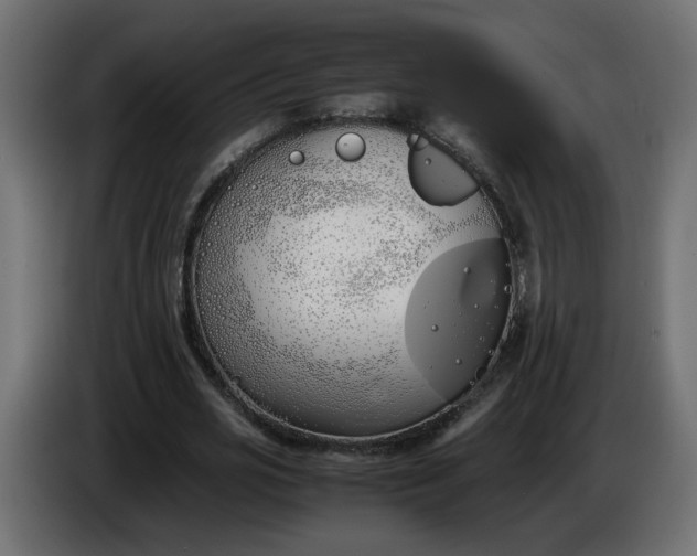 X0000086340725200704131743