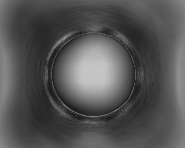 X0000086340726200704131743