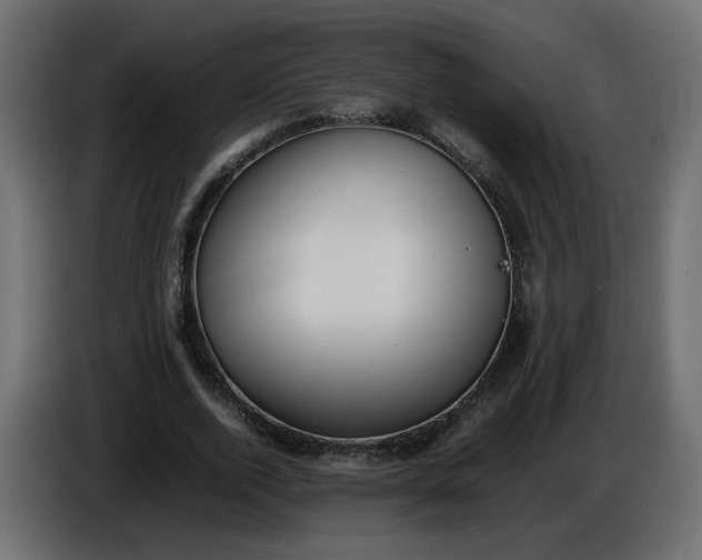 X0000086340728200704131743