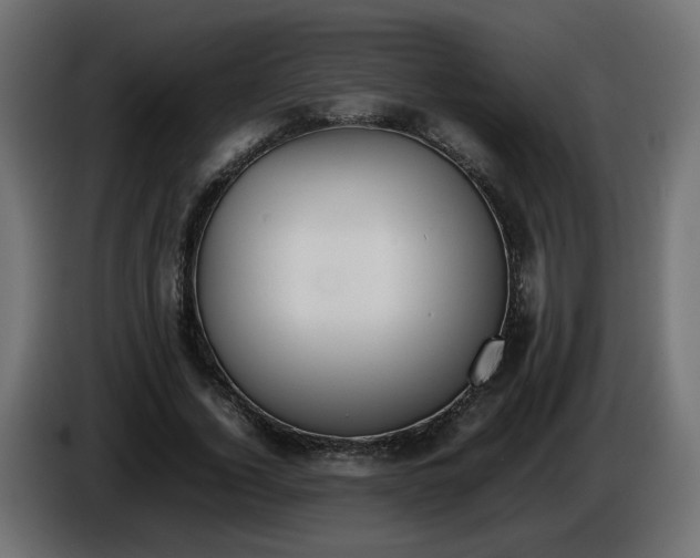 X0000086340732200704131743