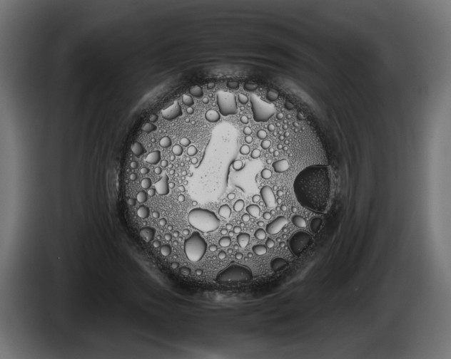 X0000086340733200704131743