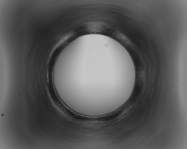 X0000086340734200704131743