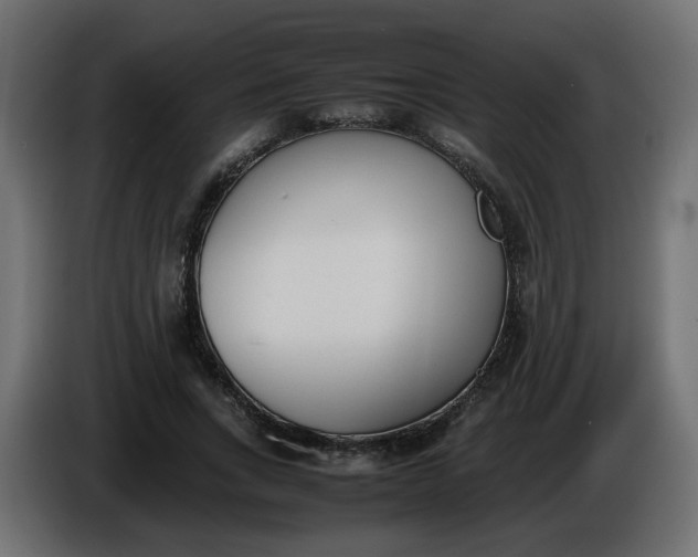 X0000086340735200704131743