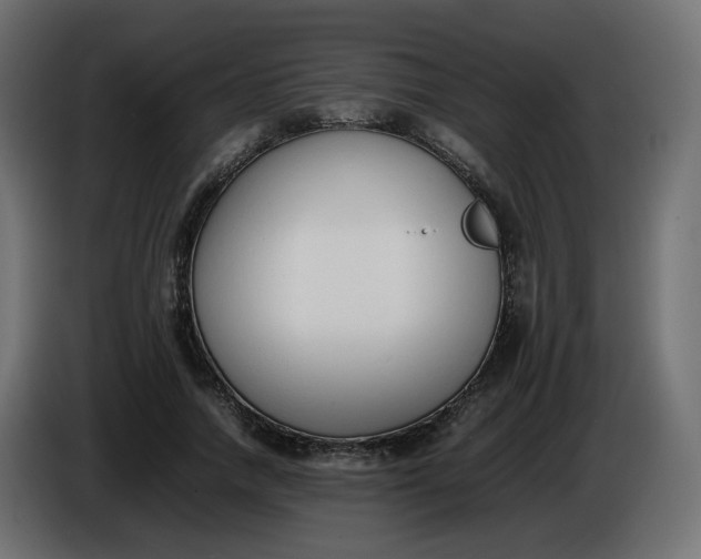 X0000086340738200704131743