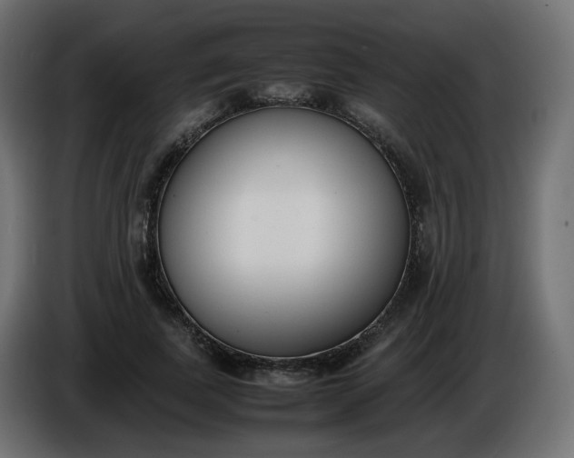 X0000086340739200704131743