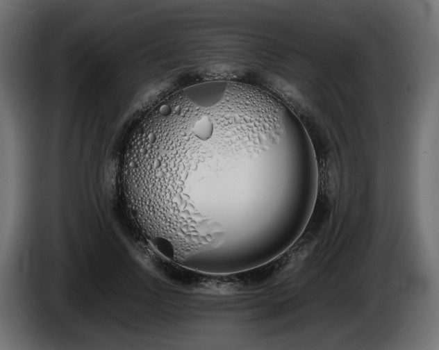 X0000086340742200704131743