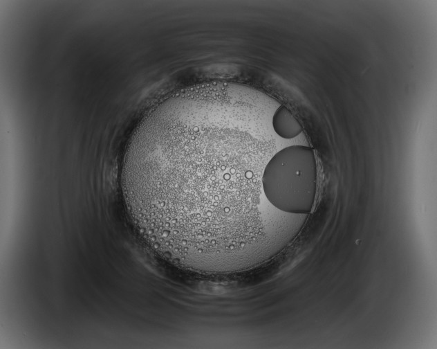 X0000086340745200704131743