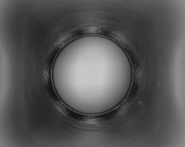 X0000086340746200704131743