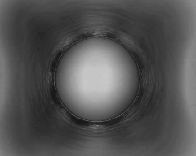 X0000086340748200704131743