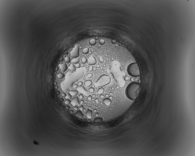 X0000086340749200704131743