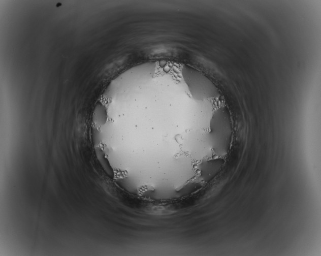 X0000086340753200704131743