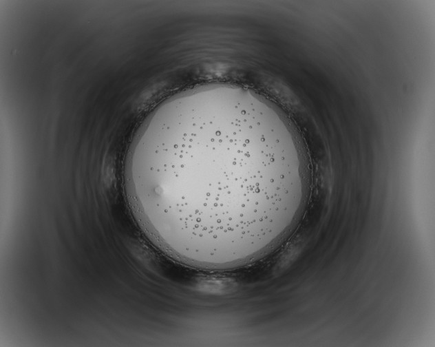 X0000086340754200704131743