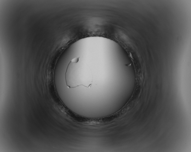 X0000086340756200704131743