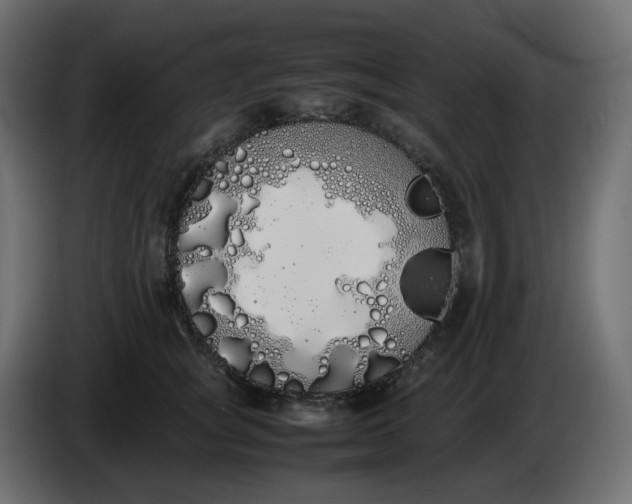 X0000086340757200704131743