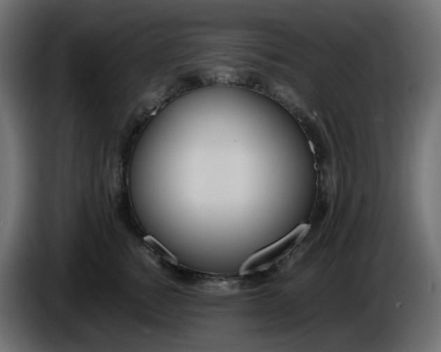 X0000086340760200704131743