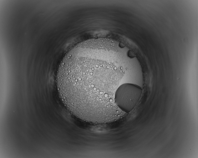 X0000086340761200704131743