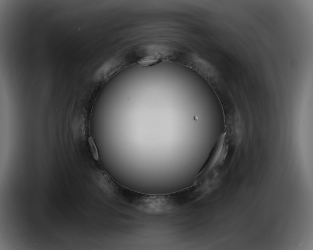 X0000086340762200704131743