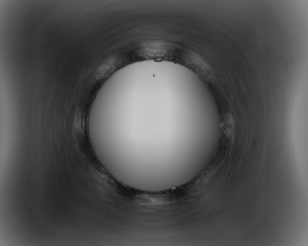 X0000086340763200704131743