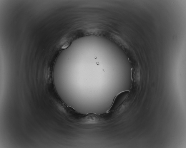 X0000086340764200704131743