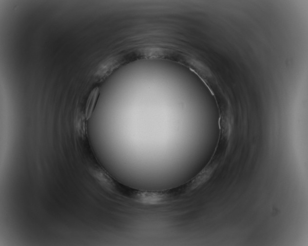 X0000086340766200704131743