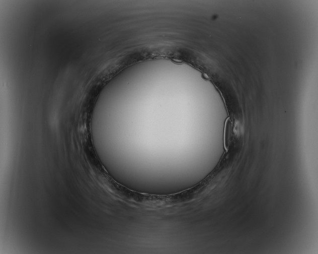 X0000086340771200704131743