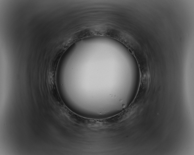 X0000086340772200704131743