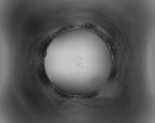 X0000086340773200704131743