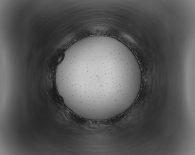 X0000086340774200704131743