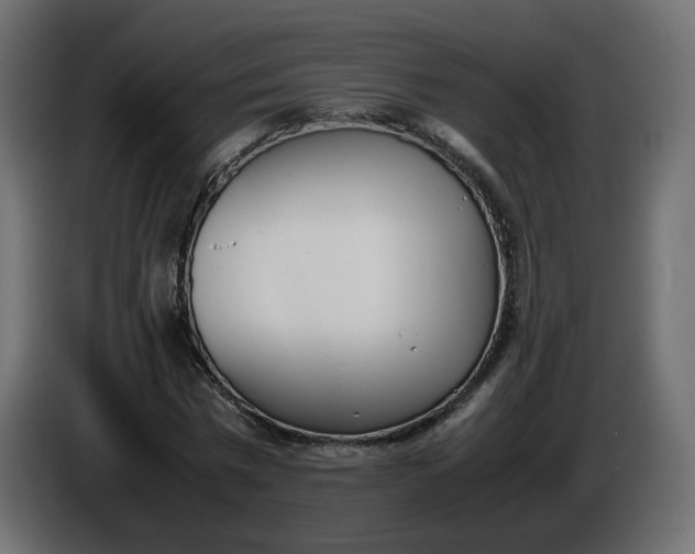 X0000086340777200704131743