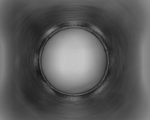 X0000086340778200704131743
