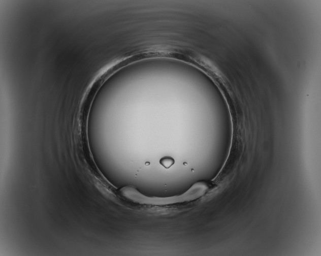 X0000086340779200704131742
