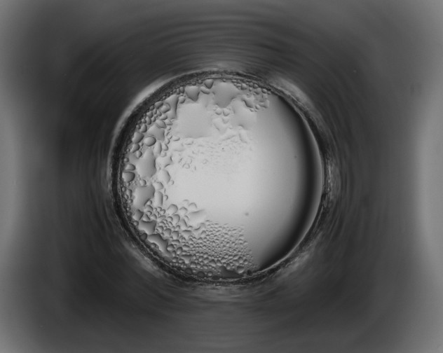 X0000086340780200704131742